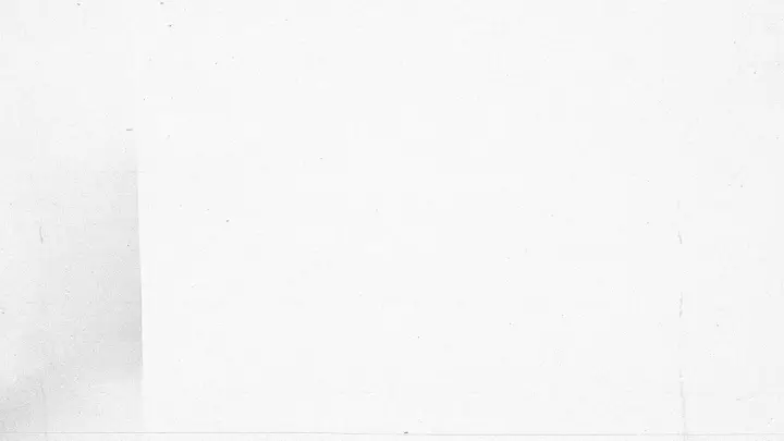 Meet The Team: blank background