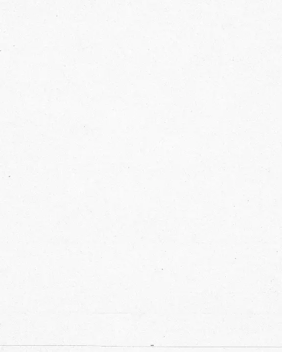Meet The Team: social post · blank