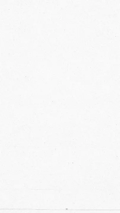 Meet The Team: story · blank