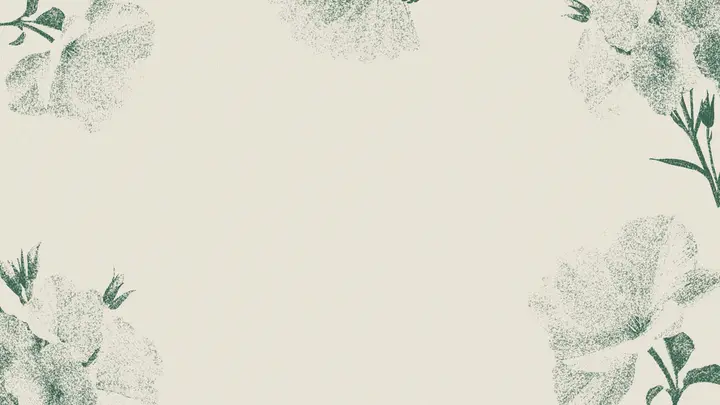 Women’s Summer Bible Study: blank background