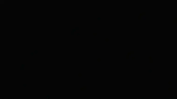 Man Camp: 4K slide · blank