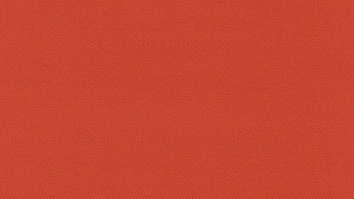 Summer Carnival: blank background