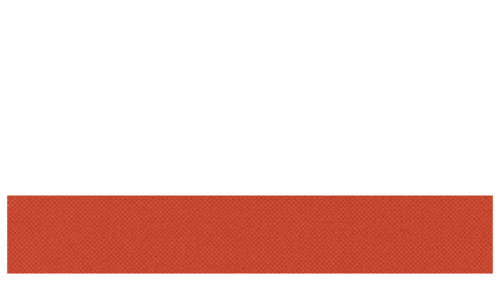 Summer Carnival: lower third · blank