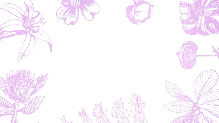 Summer Bible Study: blank background
