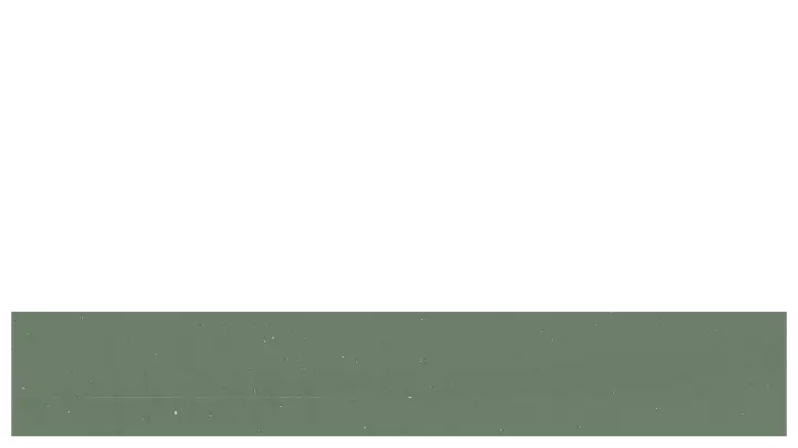 Mother’s Day At Your Church: lower third · blank