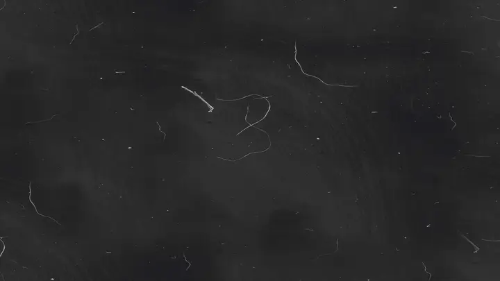 Easter: blank background