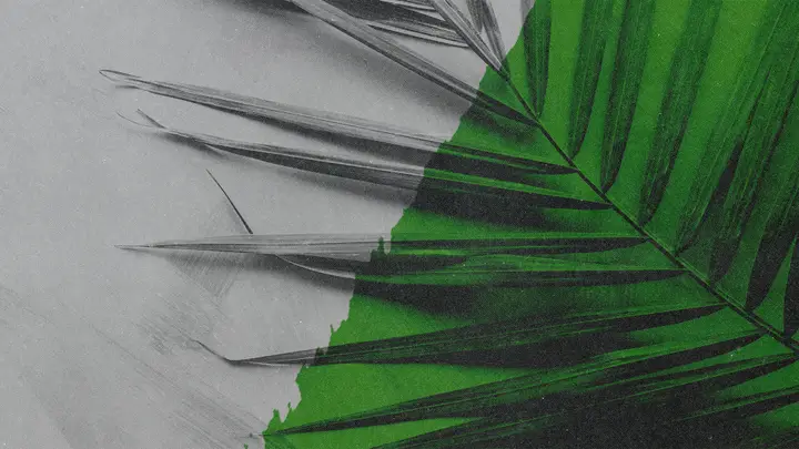 Palm Sunday: 4K slide · blank