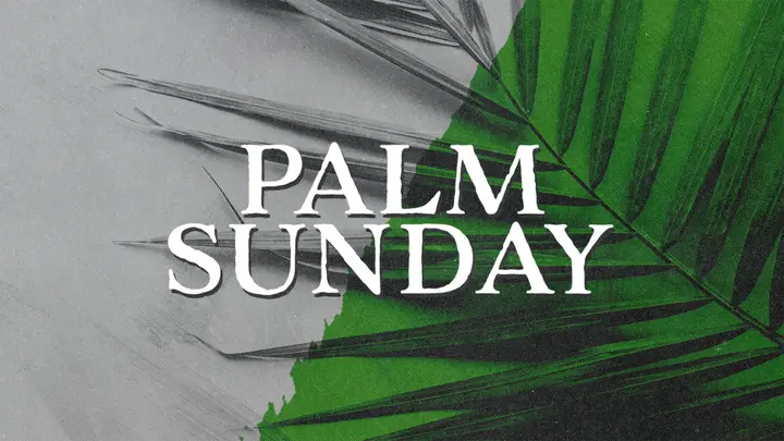 Palm Sunday: 4K slide