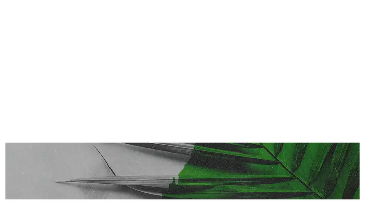 Palm Sunday: lower third · blank