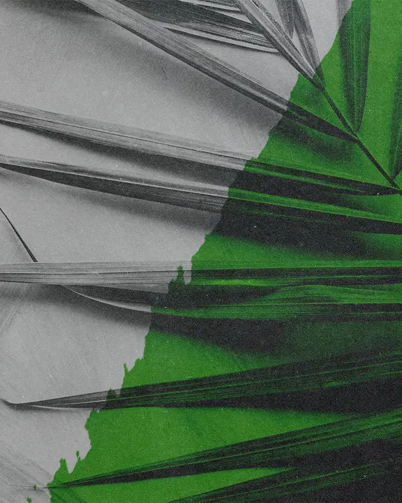 Palm Sunday: social post · blank