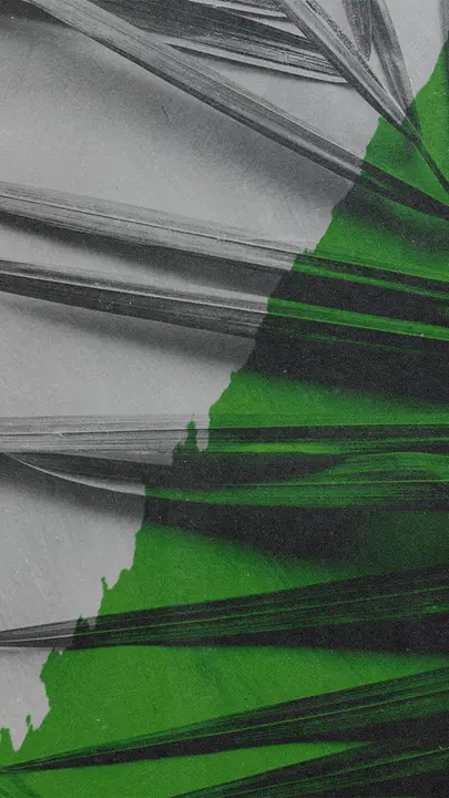 Palm Sunday: story · blank