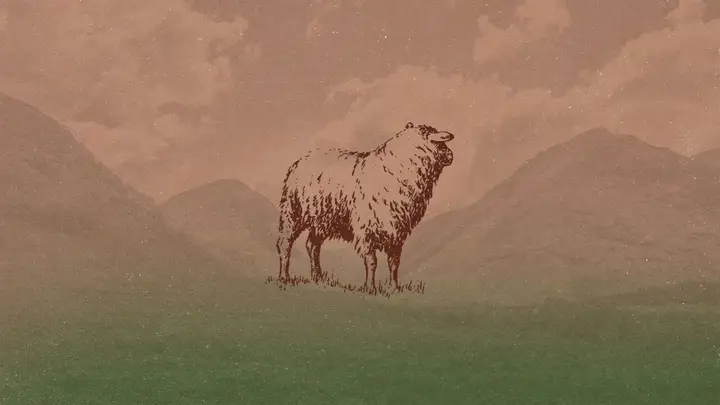 The 23rd Psalm: 4K slide · blank