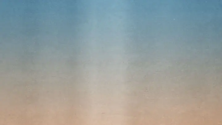 Palm Sunday: blank background