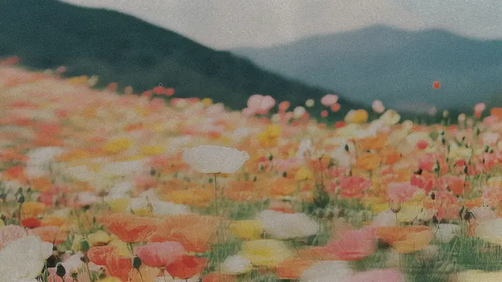 Easter At Your Church: blank background