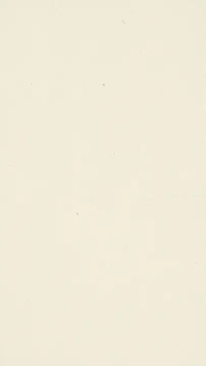 Easter: story · blank