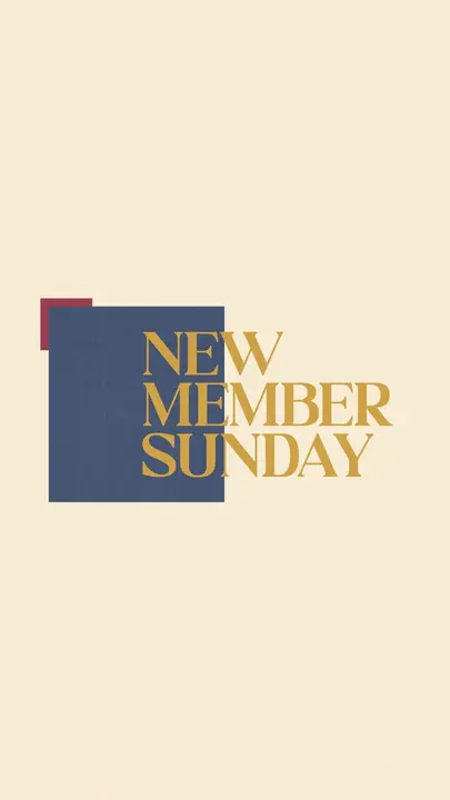 New Member Sunday: story