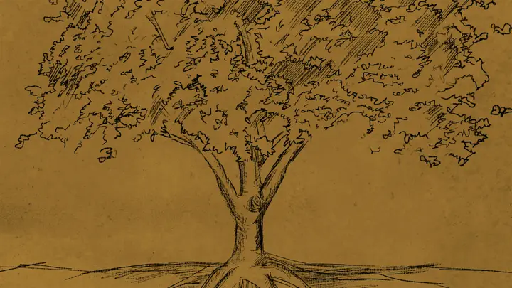 Rooted Marriage Conference: 4K slide · blank