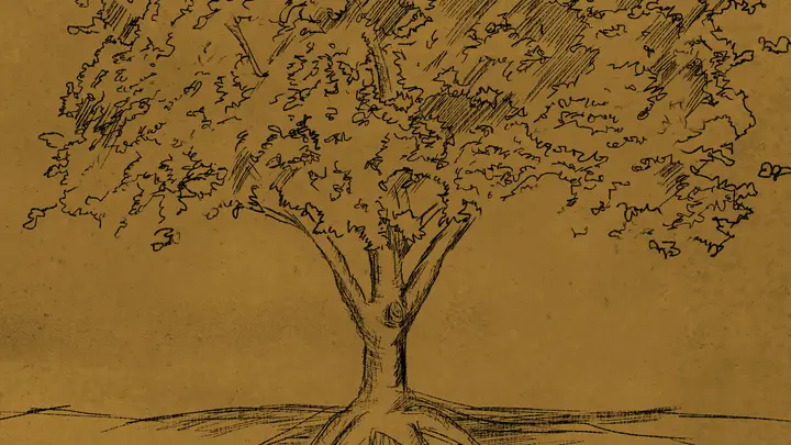 Rooted Marriage Conference: blank background