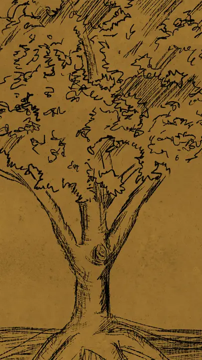 Rooted Marriage Conference: story · blank