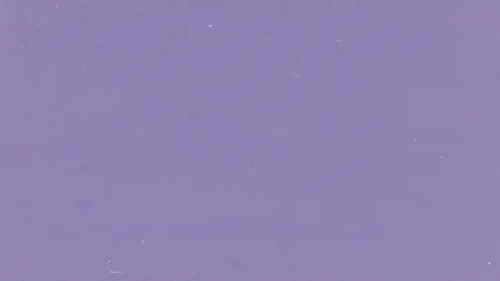 Easter Egg Hunt: 4K slide · blank