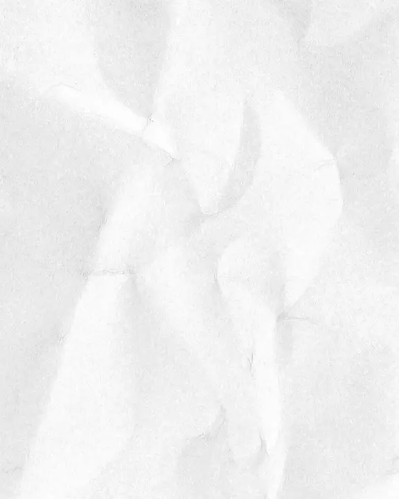Honoring Dr. Martin Luther King Jr.: social post · blank