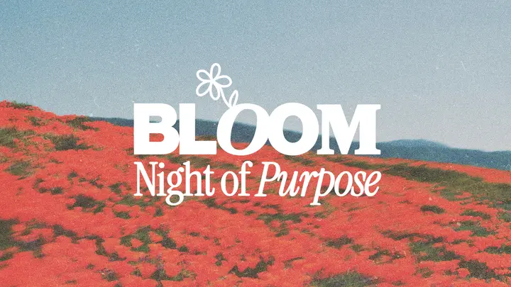 Bloom Night of Purpose: HD slide