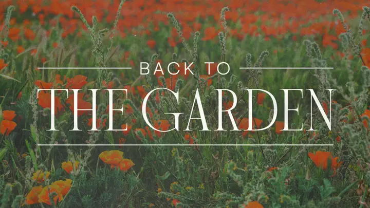 Back To The Garden: 4K slide