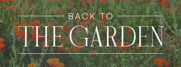Back To The Garden: facebook cover