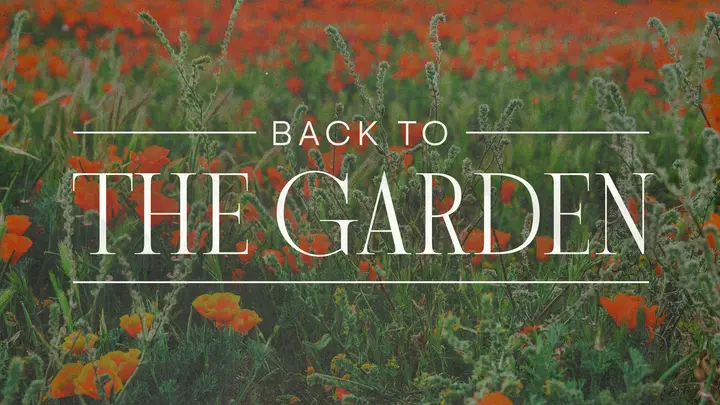 Back To The Garden: HD slide