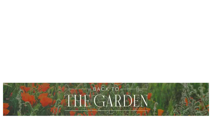 Back To The Garden: lower third