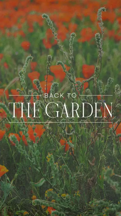 Back To The Garden: story