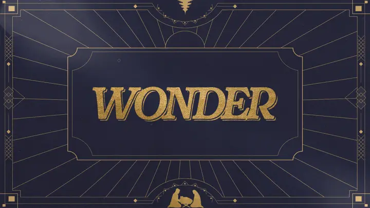 Wonder: 4K slide
