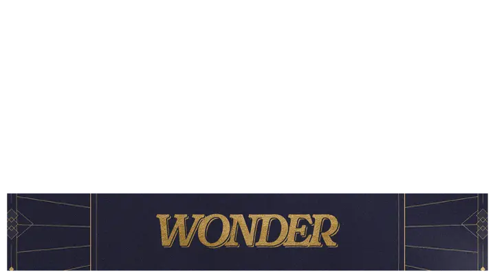 Wonder: lower third