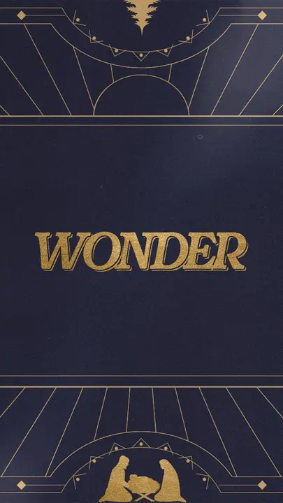 Wonder: story