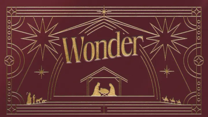 Wonder: 4K slide