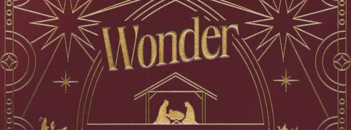Wonder: facebook cover