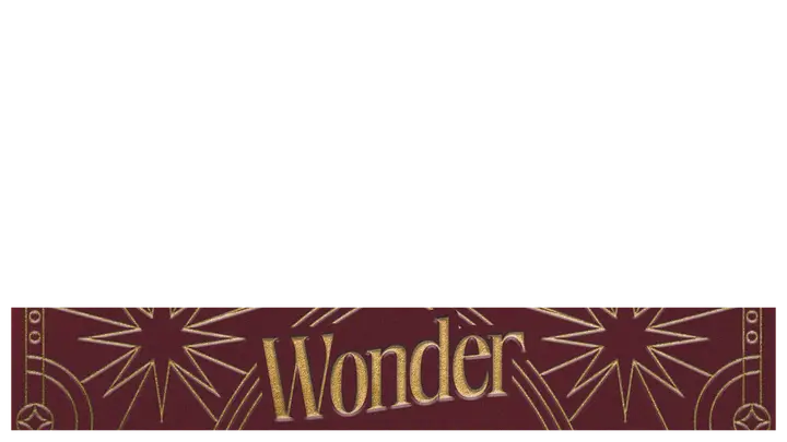 Wonder: lower third