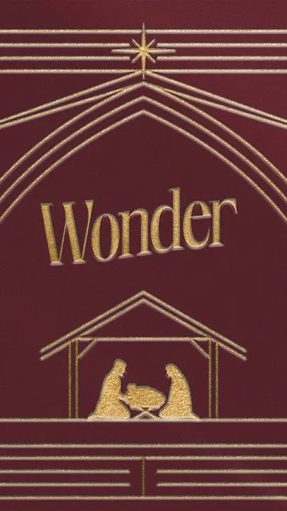 Wonder: story