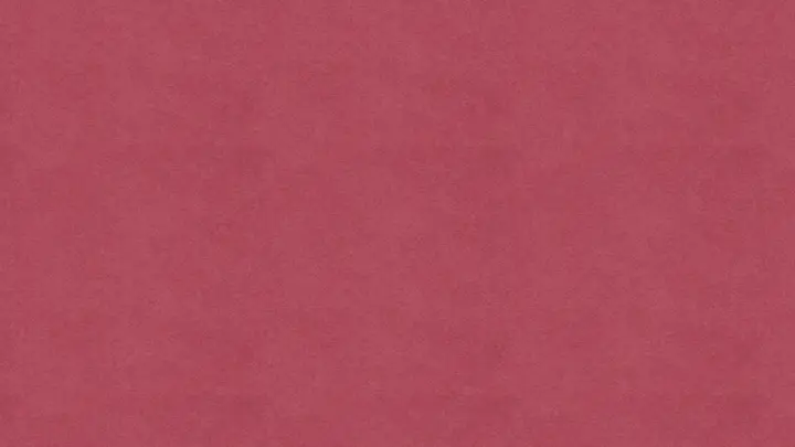 Wonder: 4K slide · blank