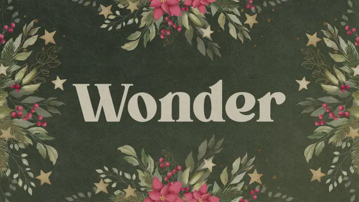 Wonder: 4K slide