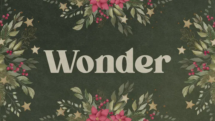 Wonder: HD slide