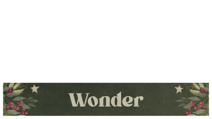 Wonder: lower third