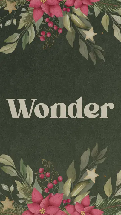 Wonder: story