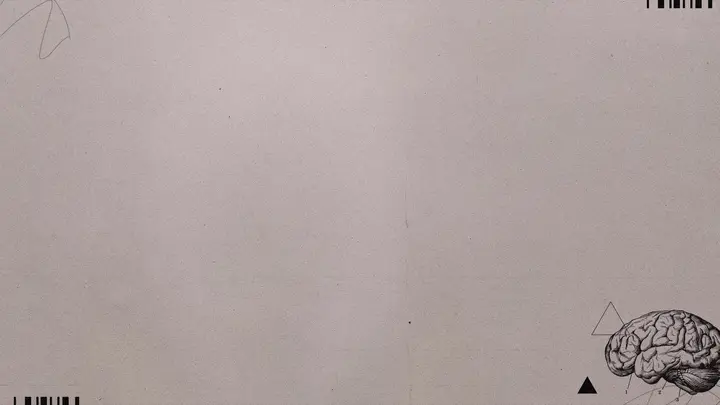 The Designer: blank background