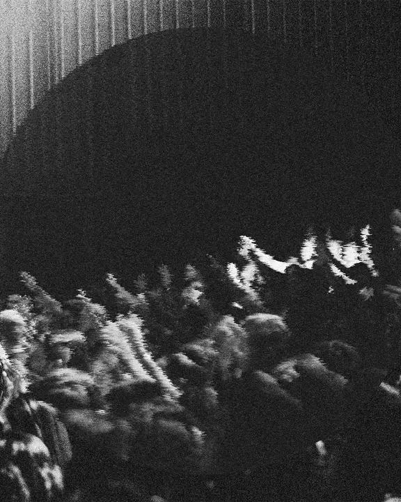Worship Night: social post · blank