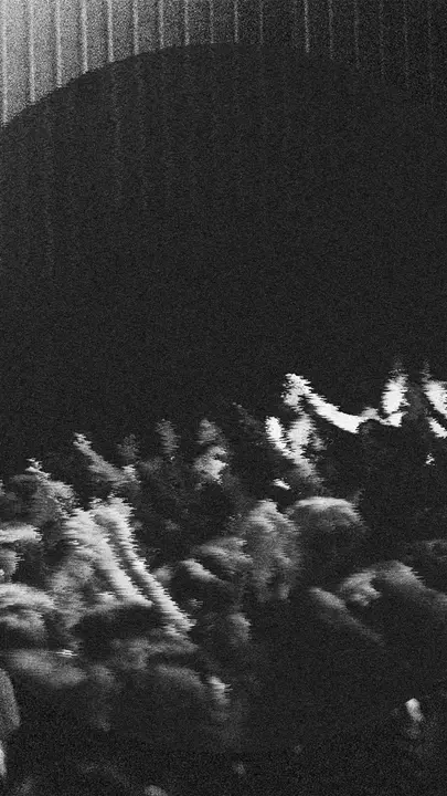 Worship Night: story · blank