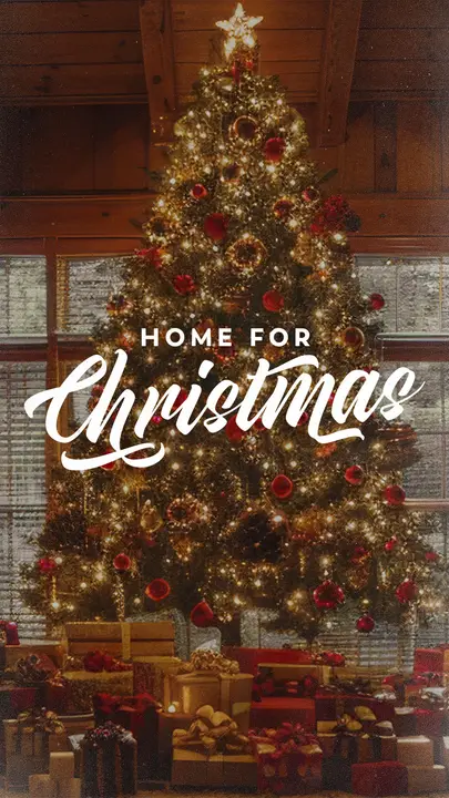 Home For Christmas: story