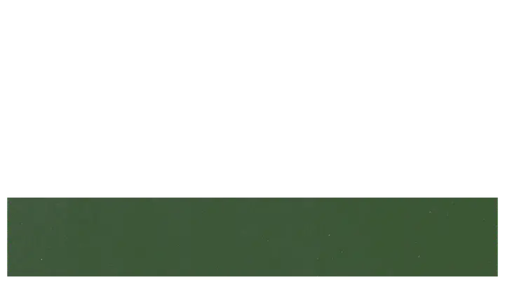 Vintage Christmas: lower third · blank