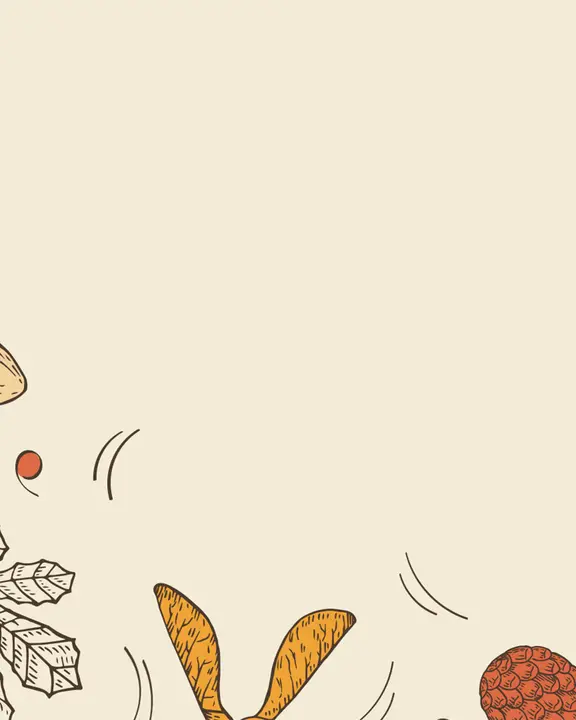 Friendsgiving: social post · blank