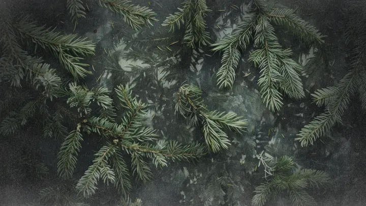 Christmas Eve: 4K slide · blank